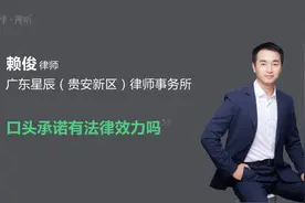 口头承诺有法律效力吗视频封面