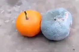 正能量:不戴口罩和聚会的结果视频封面