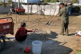 农村媳妇自己创业低成本建花棚，买3000元钢管自己加工，这样真省视频封面