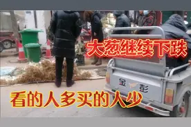 河南农村大葱价格继续暴跌，两天时间就跌这么多，看看多少钱一斤