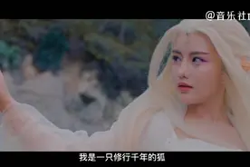 陈瑞这首《白狐》唱的撕心裂肺，深情感人，百听不厌视频封面