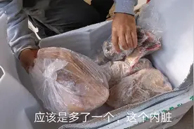 不用顺丰，普通快递寄一只鹅五只鸭到深圳，有几个人敢这样做视频封面