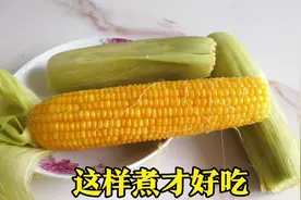 农村新鲜玉米穗这样煮才好吃，知道的人太少了，鲜香美味