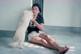 美女光脚坐在地上和狗狗玩耍，狗狗很会配合，我偷偷看了好几遍视频封面