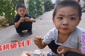 两儿子给农村妈妈砸核桃吃，峻峻不小心砸到手，这反应也太逗了视频封面