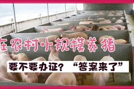 在农村搞小规模养猪，不需要办任何证件，而且还有免费服务
