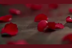 蔡徐坤《情人》（伪MV）