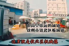 钦州市钦北区板城镇大哥从外婆家回来带回野蜂蜜还有降血压巴焦视频封面