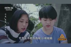女子发现流浪小猫生病，带去兽医诊所检查，让她意外收获一份工作视频封面