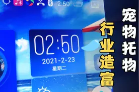 行业造富，宠物托运大佬赚钱后买新款Q5拉狗给客户配送上门视频封面