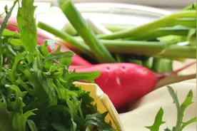 21天美食瘦身集中营，正宗东北蘸酱菜，燃爆期7天目标15-20斤！视频封面