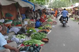 实拍印度菜市场，看看当地蔬菜肉类都什么价视频封面