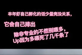 金鱼的繁殖孵化教学视频封面