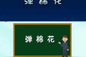 传统手工弹棉花介绍，现已被机械化所替代！视频封面