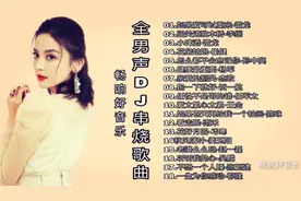《如果爱可以重来》全男声DJ串烧歌曲