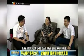 平安银行岳阳分行：金融创新 服务实体经济发展视频封面