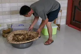 野生蜂蜜过滤出来的蜂渣，大家别扔掉了，它还有很多利用价值视频封面