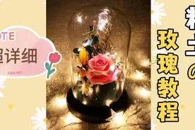 永生花玫瑰超详细教程视频封面