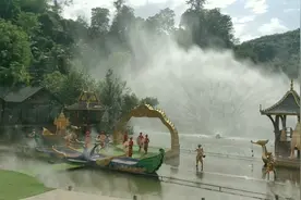 每天一场放飞孔雀表演，来西双版纳原始森林公园，一定不要错过视频封面