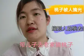 小刘回老家摘桃子，桃子为什么没了😔，小刘很无语╯﹏╰视频封面