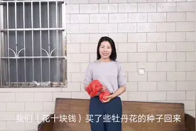 小析在河南买牡丹种子回来种，花农说用100℃水来泡，还会发芽吗?视频封面