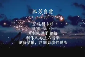 抖音热歌《孤芳自赏》适合一个人夜晚静静的听视频封面