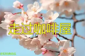 走过咖啡屋           孙露视频封面