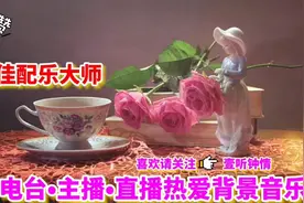 最佳配乐大师，电台主播直播背景音乐，每一首精致好听视频封面