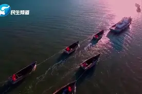 震撼！一条海带长四五米重八九十斤
