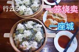 呼和浩特第三届烧麦节一笼烧麦一座城，前门大街的独一处甘拜下风视频封面