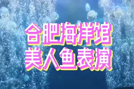 海洋馆美人鱼表演，挣钱不容易，没有氧气管，直接潜下来表演视频封面