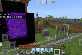 我的世界:当你用苦力怕皮肤去吓好朋友……