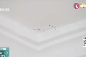 糟心！新房装修不久墙面开裂，多次维修仍不好，这是咋回事？视频封面