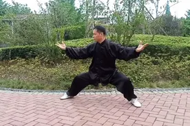 南山易人到公园晨练太极拳，一段小视频十个动作分享给朋友们