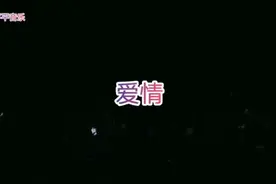 如果这不是爱情，如果我还爱你，好喜欢听视频封面