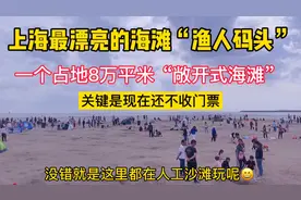 上海奉贤最漂亮的免费海滩渔人码头，每天都是人山人海视频封面