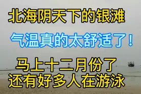 北海银滩侨港中段，快十二月份好多人游泳，滩长平 浪柔软 沙细白