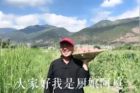 红皮土豆，是云南最好吃的洋芋，简简单单的做法比肉还好吃！视频封面