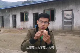 如何看鸡蛋是否受精，老百姓都是用这一招视频封面
