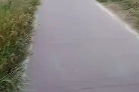 成都市秸秆禁烧开始了视频封面