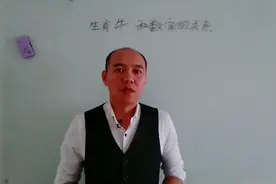 生肖牛与数字的关系视频封面