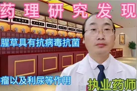 据药理研究发现，中药鱼腥草具有抗病毒，抗菌抗肿瘤等作用。视频封面