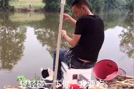 钓上鱼了傻猫用爪子碰一下我，意思是它要吃，撒娇卖萌太可爱视频封面