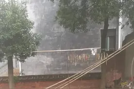 岳阳麻布山散土鸡蛋视频封面