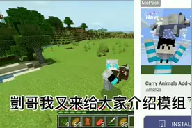 我的世界：模组介绍，这模组挺好玩的，可以抱起所有动物