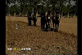 回顾50-70年代的农业生产。
