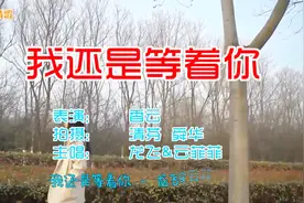 一首《我还是等着你》听得心疼，满满深情，伤感催泪！视频封面
