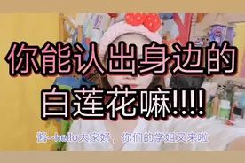 比绿茶更可怕的是白莲花，教你分辨身边那些人是白莲花！视频封面