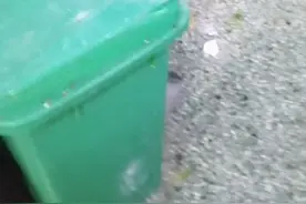 滕州市实验小学食堂餐厅服务员
…视频封面