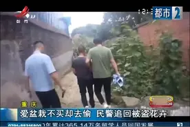 爱盆栽不买却去偷，民警介入调查，追回被盗花卉视频封面
